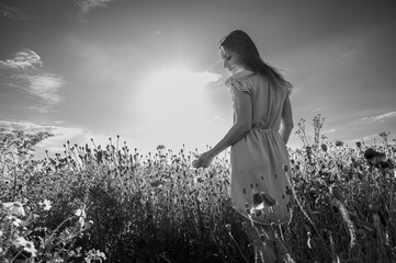 Artistic black and white photo of a woman gently connecting with nature, touching poppy buds in a...