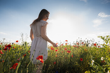 Young woman in a light summer dress walking through a poppy field at sunset. Peaceful countryside...
