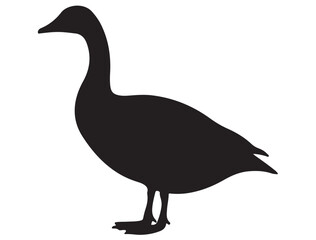 GOOSE SILHOUETTE 