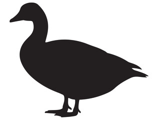 GOOSE SILHOUETTE 