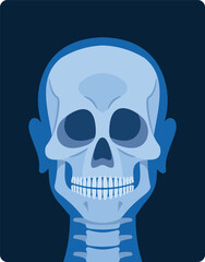 Skull x-ray front view vector illustration