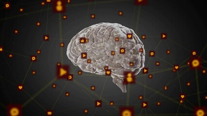 Starting with semi-transparent 3D brain over grid rotating and pulsing icons mapping connections - Powered by Adobe