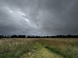 Fototapeta premium Rural landscape of Wiltshire in the UK.