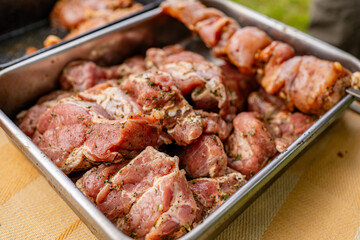 Raw marinated meat for shashlik in a metal tray. Fresh chicken or pork cubes ready for BBQ grilling...