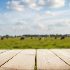 Empty wooden table with copy space for product placement or mockup. In the background cloudy blue...