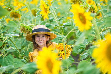 little girl in sunflowers in a field