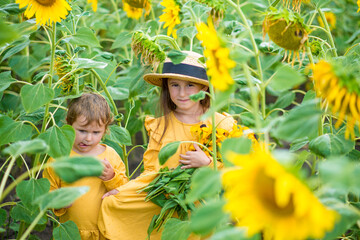 little girls in sunflowers in a field