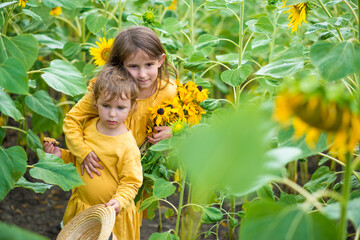 little girls in sunflowers in a field