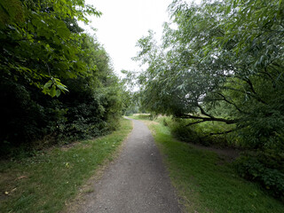 Fototapeta premium Rural landscape of Wiltshire in the UK.
