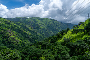 Fototapeta premium Lush Green Mountain Valley Landscape with Power Lines and Cloudy Sky Rolling Hills Dense Foliage Vivid Green Trees