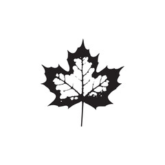 Stylized Maple Leaf