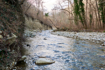 Between Seasons: River's Quiet Awakening