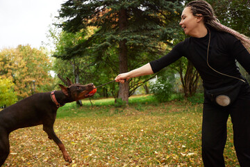 Woman Playing Tug-of-War with Her Doberman in a Park Setting