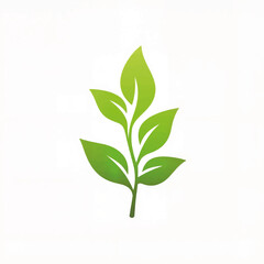 Fototapeta premium Green leaf design with multiple leaves on white background 