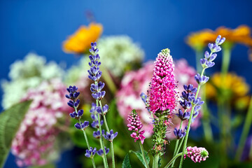 close-up of small lavender flowers in a garden during spring