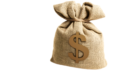 A brown bag with a dollar sign on it