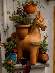 terracotta pots with flowers