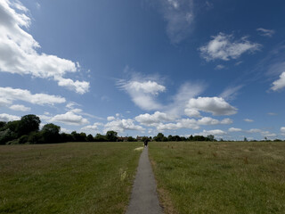 Fototapeta premium Rural landscape of Wiltshire in the UK.