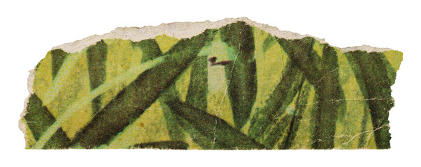 Stripe of old vintage green paper with floral print, torn page from retro children's book