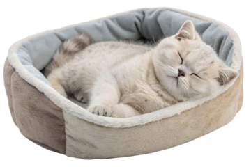 Sleeping cat curled up in cozy knitted bed, peaceful pet resting with paws tucked in, isolated cutout