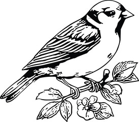 Obraz premium Sparrow bird perched on branch vector black silhouette print design