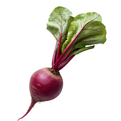 A large purple vegetable with a green stem