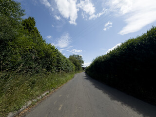 Fototapeta premium Rural landscape of Wiltshire in the UK.