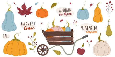 Fall Harvest Time set with pumpkins, leaves and wheelbarrow. Isolated vector symbols of autumn, harvest festival, halloween. Design elements for poster, banner, card, greeting, invitation, sale