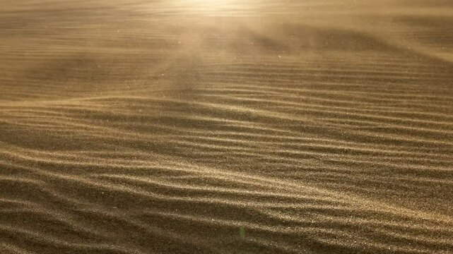 Sand waving in the wind in dunes in desert. Macro shot of sand particles blown away by the wind. Grains of sand waving in the wind during sandstorm