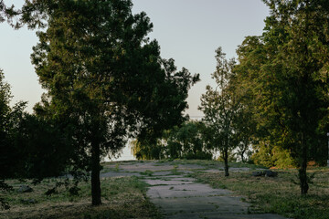 A path through a serene park. A desert parkland and a pathway leads through trees, framed by branches, evoking a sense of peace and tranquility in nature. Non-urban scene without people.