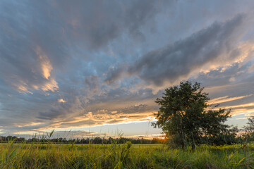 Beautiful sunset over a tranquil field with clouds and silhouetted trees during late afternoon hours