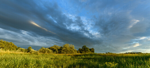 Vibrant landscape with lush grass and dramatic sky near a forest during late afternoon