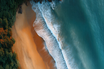 aerial view serene beauty of ocean and sea surfaces showcasing tranquil coastal areas and bays teeming with vibrant