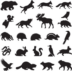 Fototapeta premium Diverse collection of wild animal silhouettes bear wolf