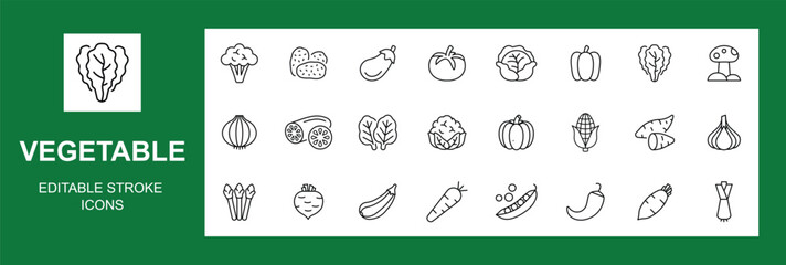Vegetables line icon set. Vector pictograms of broccoli, potato, onion, garlic, lettuce, spinach, cucumber, pumpkin, turnip, celery, cabbage, mushroom icons, Editable stroke. Vector  illustration.
