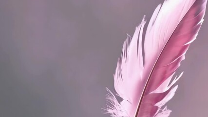 Graceful pink feather swaying gently in soft wind against a muted pastel background - Powered by Adobe