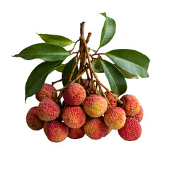 Image is a high-resolution, close-up photograph of a cluster of lychee fruits. The lychees are grouped together, attached to a few brown stems with green leaves. The fruits have a rough, textured surf