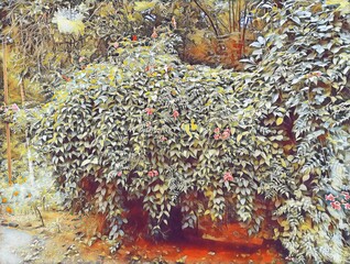 Exotic Garden Beauty: Captivating Pink Flowers Nestled in a Lush Landscape.