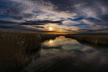 Sunset over the Reeds and Water Channel at Lake Federsee