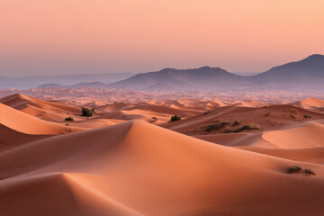 Fototapeta premium experience breathtaking beauty of sunsets across diverse countries serene atmosphere of desolate deserts