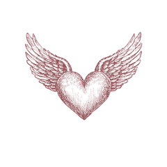 Vintage decorative heart with wings clipart in engraving style. Antique romantic vector line art.