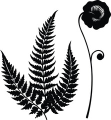 Curled Fern And Poppy Corner Silhouette