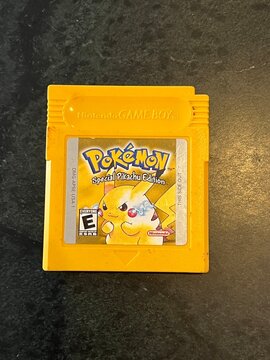 Seattle, WA, USA
July 13, 2025
Pokemon Game