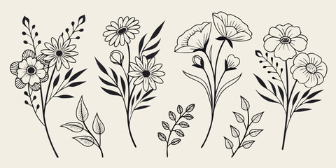 Collection of delicate hand drawn floral elements and botanical branches silhouette isolated on white background