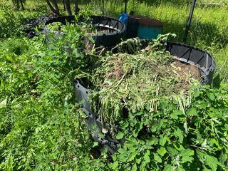 Plastic Bins and Organic Waste. Compost containers filled with garden debris, dry grass, and food...