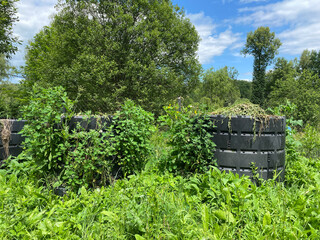 Eco-Friendly Compost Containers with Biodegradable Garden and Food Waste. Overgrown grass and weeds...