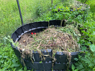 Black plastic compost bins holding organic waste like dry grass, weeds, and vegetable scraps....