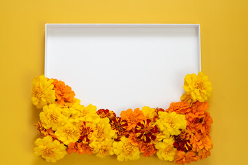 Marigold Flower Buds on White and Orange Background with Copy Space – Cozy Autumn Concept
