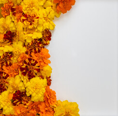 Marigold Flower Buds on White Background with Copy Space – Cozy Autumn Concept
