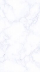 Elegant White Marble Texture with Subtle Grey Veining